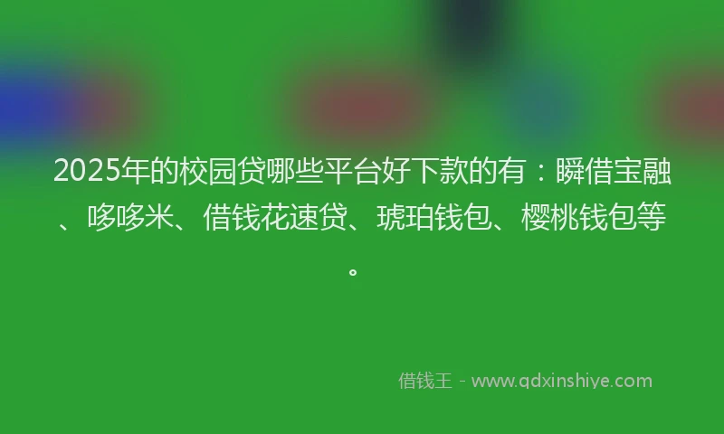 2025年的校园贷哪些平台好下款的有：瞬借宝融、哆哆米、借钱花速贷、琥珀钱包、樱桃钱包等。