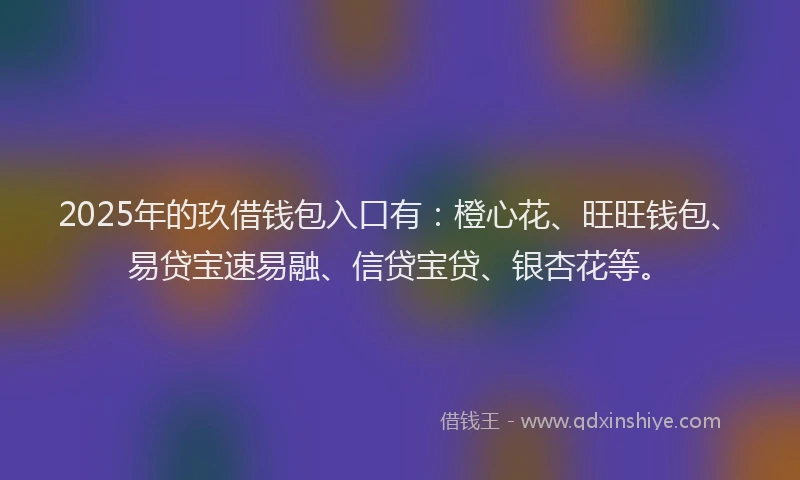 2025年的玖借钱包入口有：橙心花、旺旺钱包、易贷宝速易融、信贷宝贷、银杏花等。
