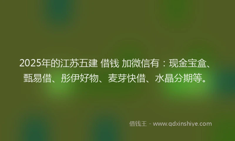 2025年的江苏五建 借钱 加微信有：现金宝盒、甄易借、彤伊好物、麦芽快借、水晶分期等。