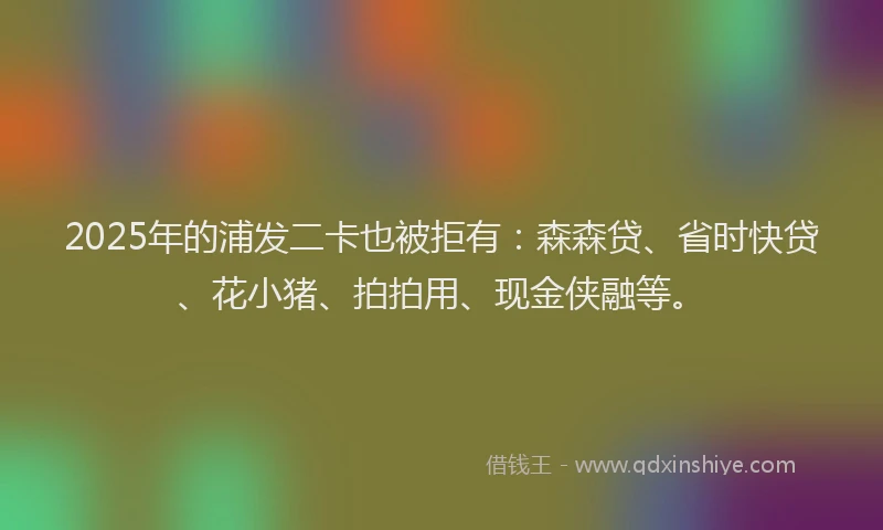 2025年的浦发二卡也被拒有：森森贷、省时快贷、花小猪、拍拍用、现金侠融等。