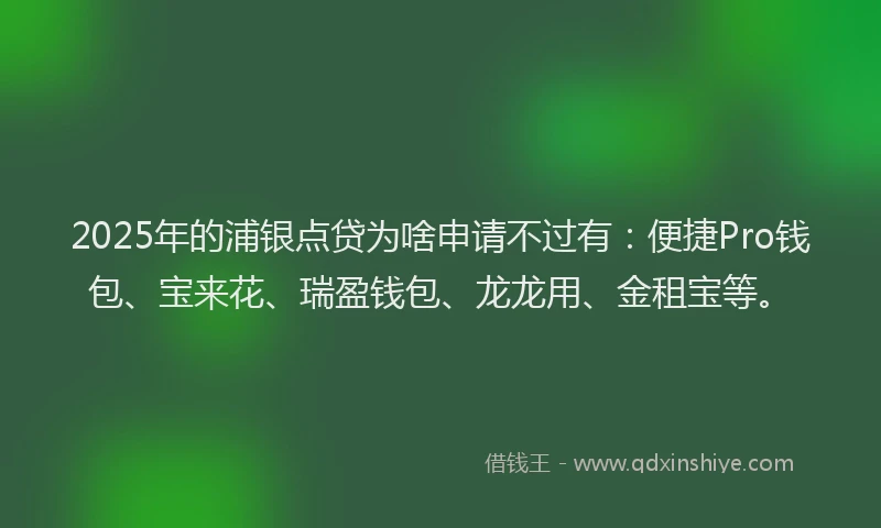 2025年的浦银点贷为啥申请不过有：便捷Pro钱包、宝来花、瑞盈钱包、龙龙用、金租宝等。