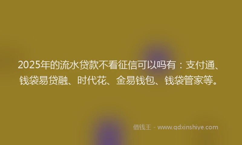 2025年的流水贷款不看征信可以吗有：支付通、钱袋易贷融、时代花、金易钱包、钱袋管家等。