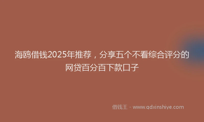 海鸥借钱2025年推荐，分享五个不看综合评分的网贷百分百下款口子