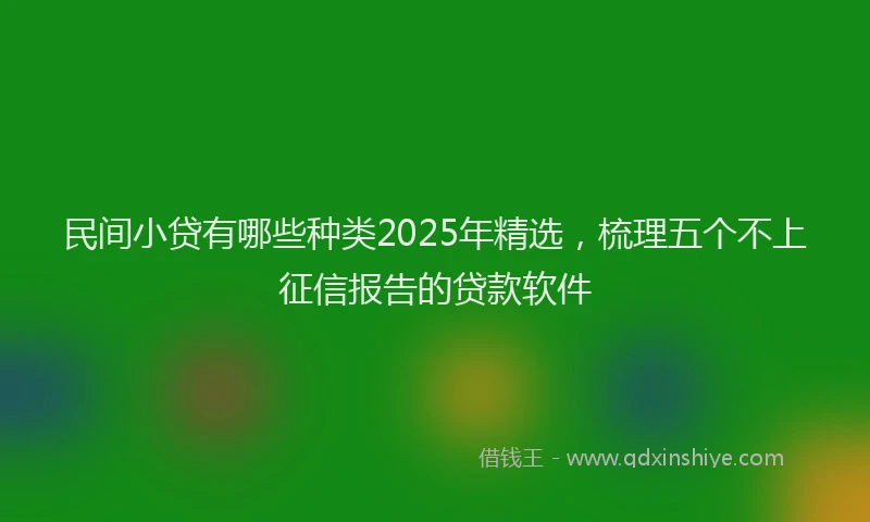 民间小贷有哪些种类2025年精选，梳理五个不上征信报告的贷款软件