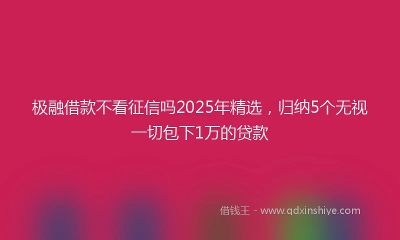 极融借款不看征信吗2025年精选，归纳5个无视一切包下1万的贷款