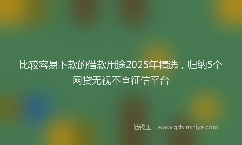 比较容易下款的借款用途2025年精选，归纳5个网贷无视不查征信平台