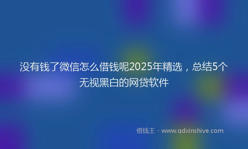 没有钱了微信怎么借钱呢2025年精选，总结5个无视黑白的网贷软件