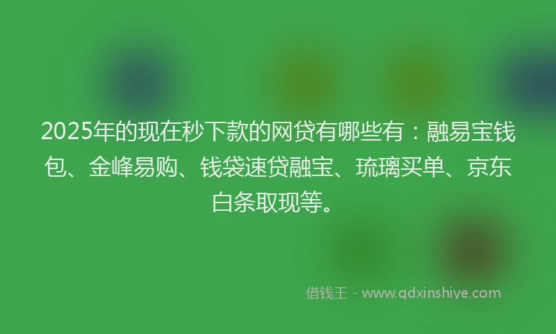 2025年的现在秒下款的网贷有哪些有：融易宝钱包、金峰易购、钱袋速贷融宝、琉璃买单、京东白条取现等。