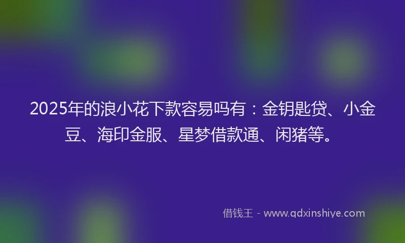 2025年的浪小花下款容易吗有：金钥匙贷、小金豆、海印金服、星梦借款通、闲猪等。