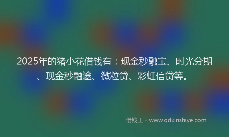 2025年的猪小花借钱有：现金秒融宝、时光分期、现金秒融途、微粒贷、彩虹信贷等。