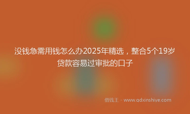 没钱急需用钱怎么办2025年精选，整合5个19岁贷款容易过审批的口子