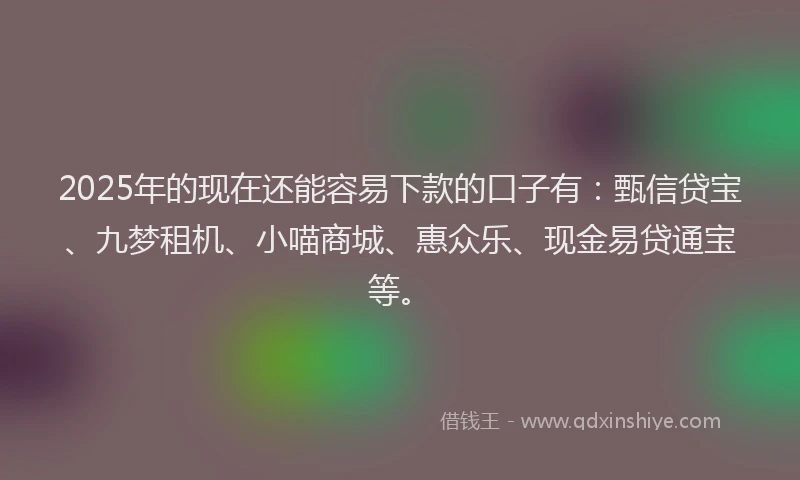 2025年的现在还能容易下款的口子有：甄信贷宝、九梦租机、小喵商城、惠众乐、现金易贷通宝等。