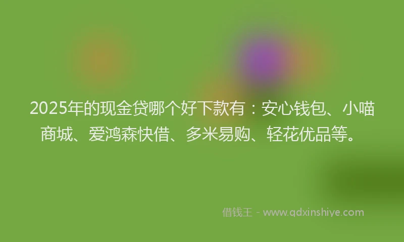 2025年的现金贷哪个好下款有：安心钱包、小喵商城、爱鸿森快借、多米易购、轻花优品等。