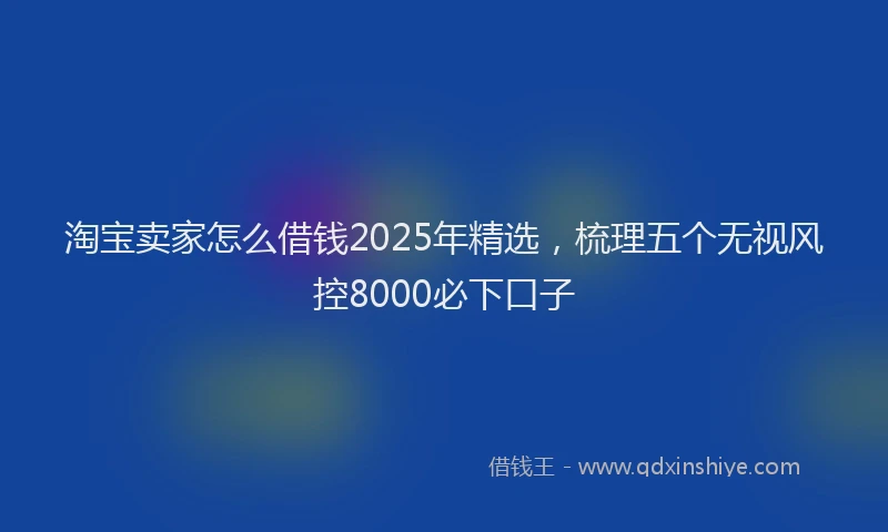 淘宝卖家怎么借钱2025年精选，梳理五个无视风控8000必下口子