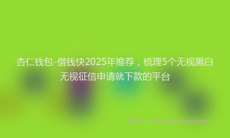 杏仁钱包-借钱快2025年推荐，梳理5个无视黑白无视征信申请就下款的平台