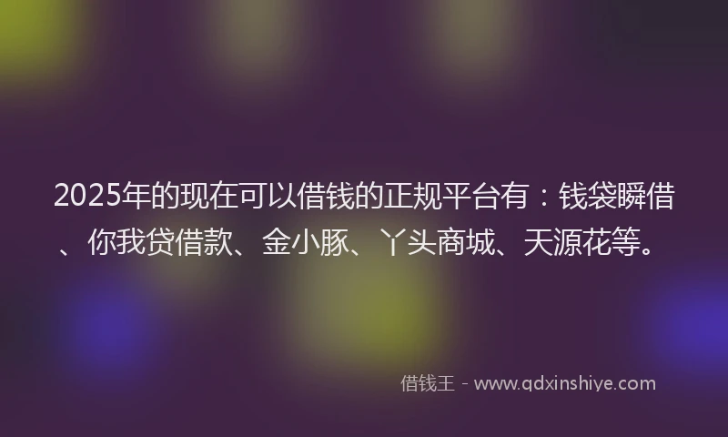 2025年的现在可以借钱的正规平台有：钱袋瞬借、你我贷借款、金小豚、丫头商城、天源花等。
