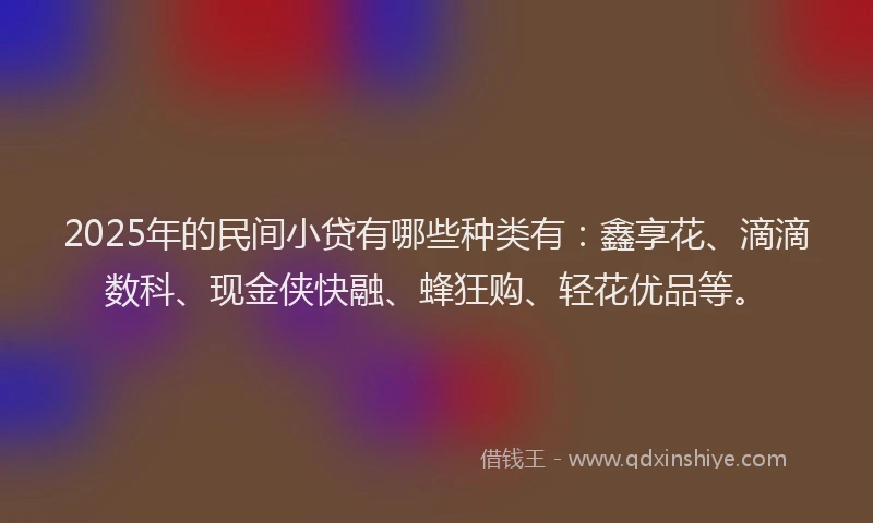 2025年的民间小贷有哪些种类有：鑫享花、滴滴数科、现金侠快融、蜂狂购、轻花优品等。