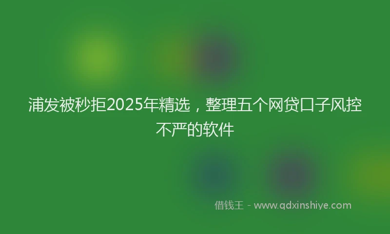 浦发被秒拒2025年精选，整理五个网贷口子风控不严的软件