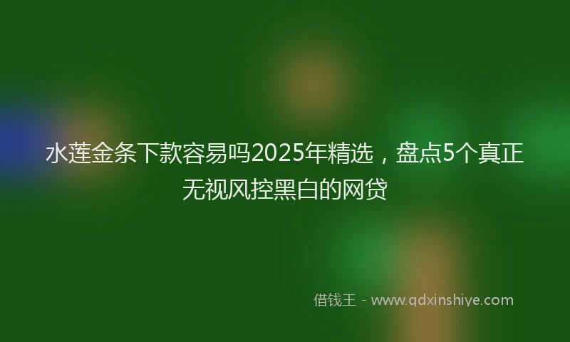 水莲金条下款容易吗2025年精选，盘点5个真正无视风控黑白的网贷