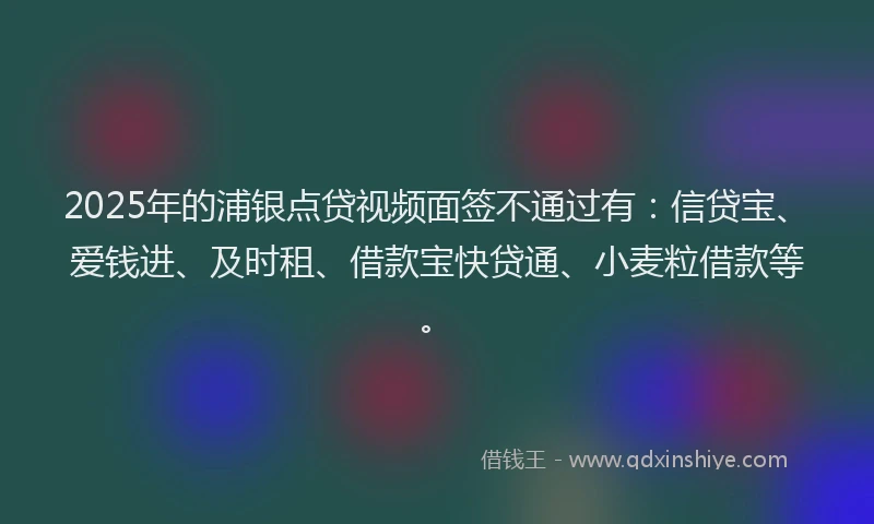 2025年的浦银点贷视频面签不通过有：信贷宝、爱钱进、及时租、借款宝快贷通、小麦粒借款等。