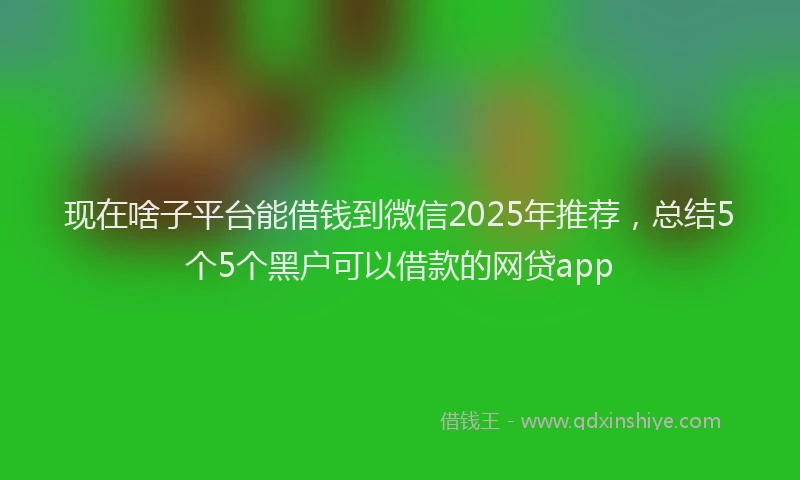 现在啥子平台能借钱到微信2025年推荐，总结5个5个黑户可以借款的网贷app