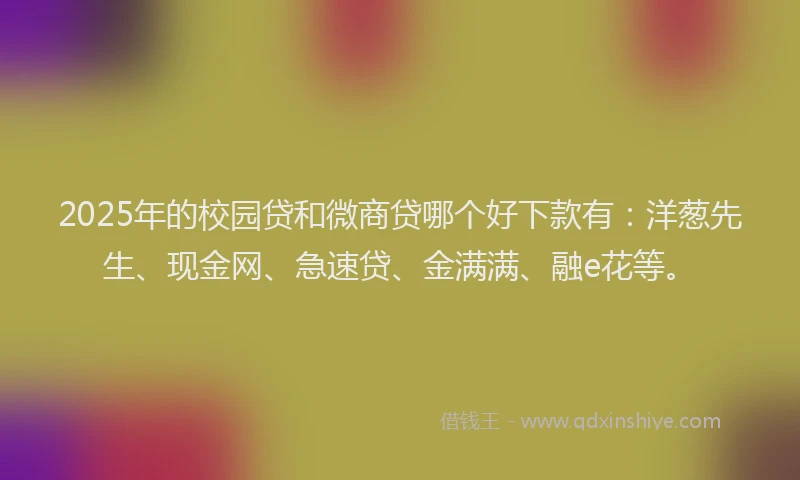 2025年的校园贷和微商贷哪个好下款有：洋葱先生、现金网、急速贷、金满满、融e花等。