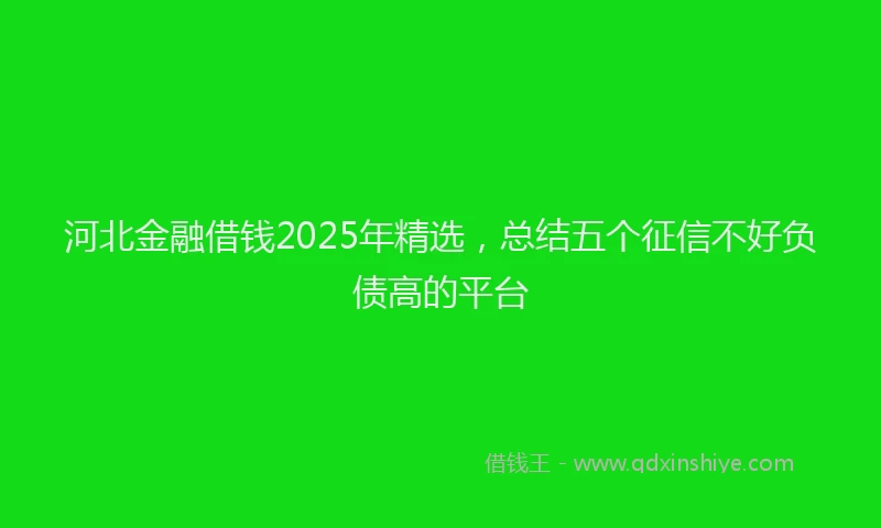 河北金融借钱2025年精选，总结五个征信不好负债高的平台