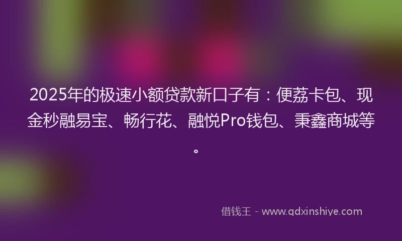 2025年的极速小额贷款新口子有：便荔卡包、现金秒融易宝、畅行花、融悦Pro钱包、秉鑫商城等。