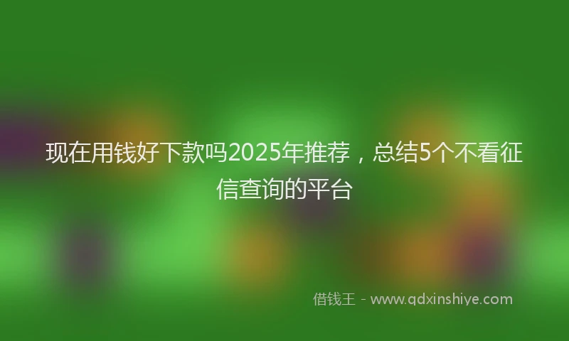 现在用钱好下款吗2025年推荐，总结5个不看征信查询的平台