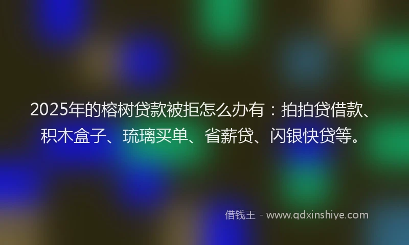 2025年的榕树贷款被拒怎么办有：拍拍贷借款、积木盒子、琉璃买单、省薪贷、闪银快贷等。