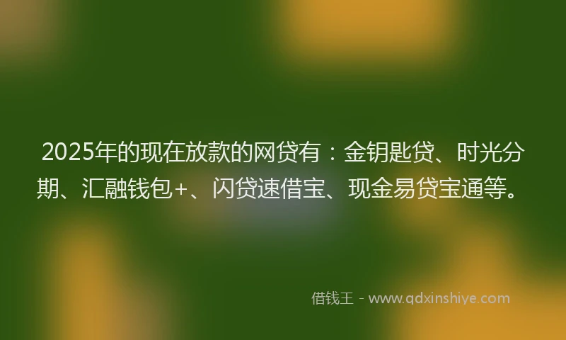 2025年的现在放款的网贷有：金钥匙贷、时光分期、汇融钱包+、闪贷速借宝、现金易贷宝通等。
