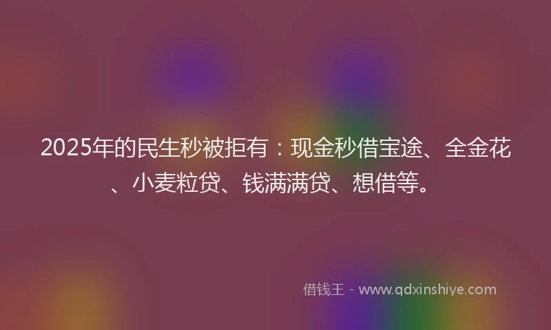 2025年的民生秒被拒有：现金秒借宝途、全金花、小麦粒贷、钱满满贷、想借等。