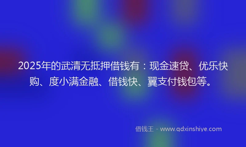 2025年的武清无抵押借钱有：现金速贷、优乐快购、度小满金融、借钱快、翼支付钱包等。