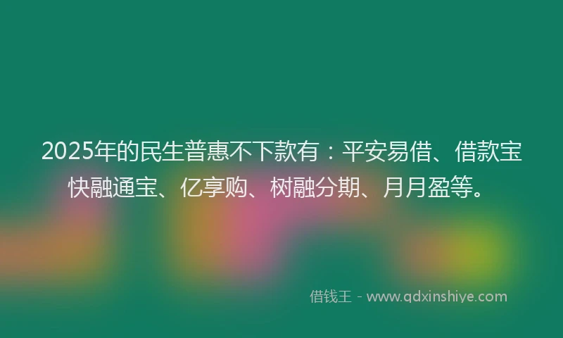 2025年的民生普惠不下款有：平安易借、借款宝快融通宝、亿享购、树融分期、月月盈等。