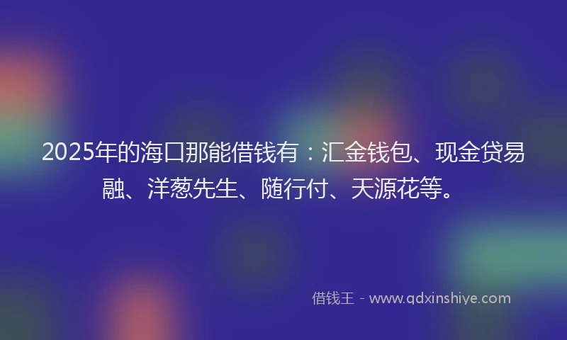 2025年的海口那能借钱有：汇金钱包、现金贷易融、洋葱先生、随行付、天源花等。