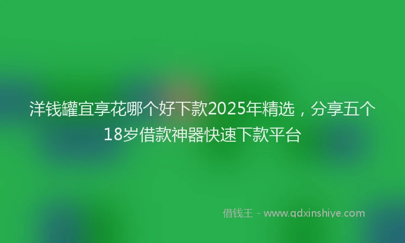 洋钱罐宜享花哪个好下款2025年精选，分享五个18岁借款神器快速下款平台
