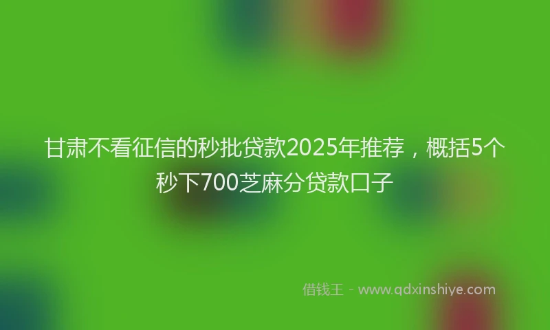 甘肃不看征信的秒批贷款2025年推荐，概括5个秒下700芝麻分贷款口子