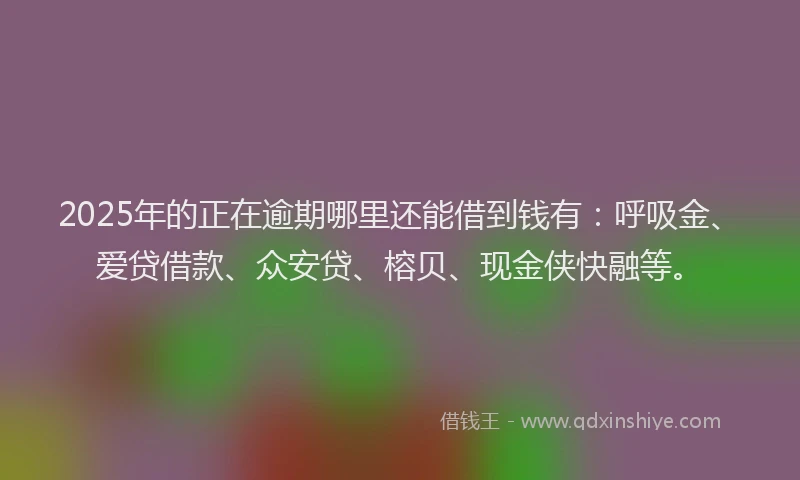2025年的正在逾期哪里还能借到钱有：呼吸金、爱贷借款、众安贷、榕贝、现金侠快融等。