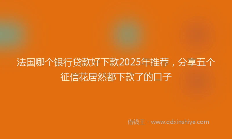 法国哪个银行贷款好下款2025年推荐，分享五个征信花居然都下款了的口子