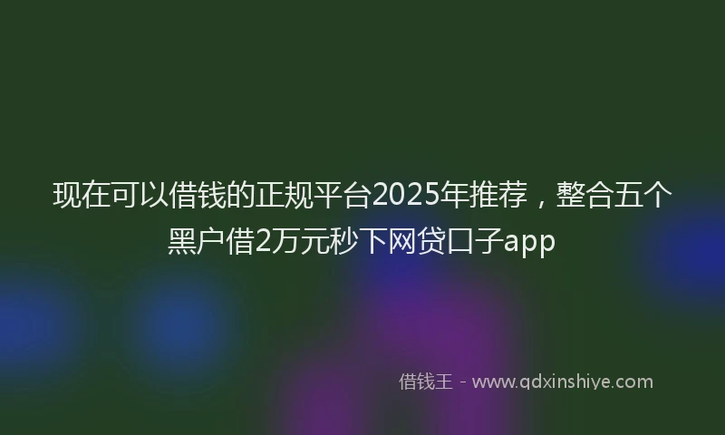 现在可以借钱的正规平台2025年推荐，整合五个黑户借2万元秒下网贷口子app