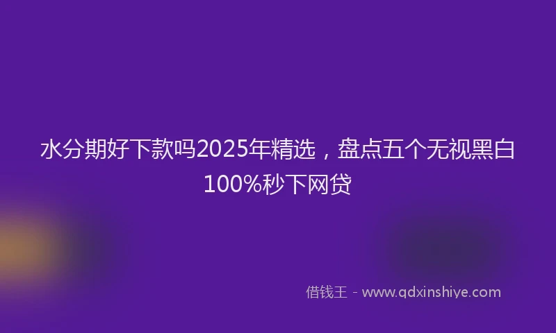 水分期好下款吗2025年精选，盘点五个无视黑白100%秒下网贷
