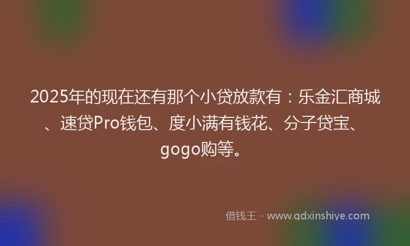 2025年的现在还有那个小贷放款有：乐金汇商城、速贷Pro钱包、度小满有钱花、分子贷宝、gogo购等。