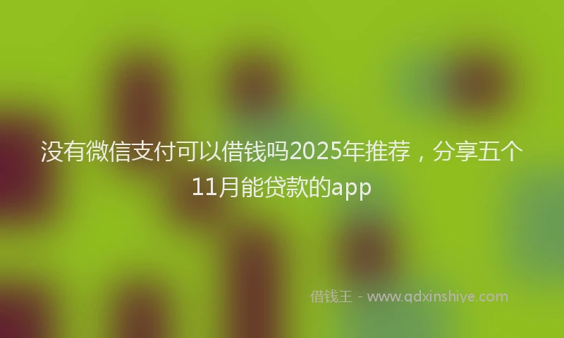 没有微信支付可以借钱吗2025年推荐，分享五个11月能贷款的app