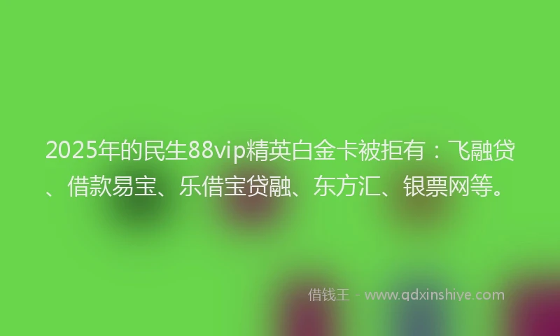 2025年的民生88vip精英白金卡被拒有：飞融贷、借款易宝、乐借宝贷融、东方汇、银票网等。