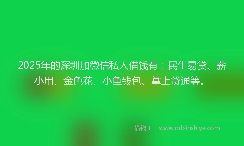 2025年的深圳加微信私人借钱有：民生易贷、薪小用、金色花、小鱼钱包、掌上贷通等。