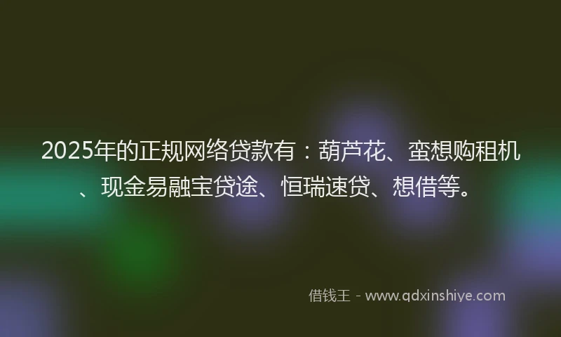 2025年的正规网络贷款有：葫芦花、蛮想购租机、现金易融宝贷途、恒瑞速贷、想借等。