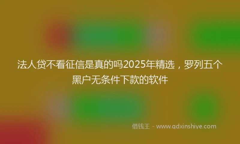 法人贷不看征信是真的吗2025年精选，罗列五个黑户无条件下款的软件