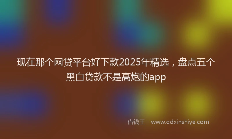 现在那个网贷平台好下款2025年精选，盘点五个黑白贷款不是高炮的app