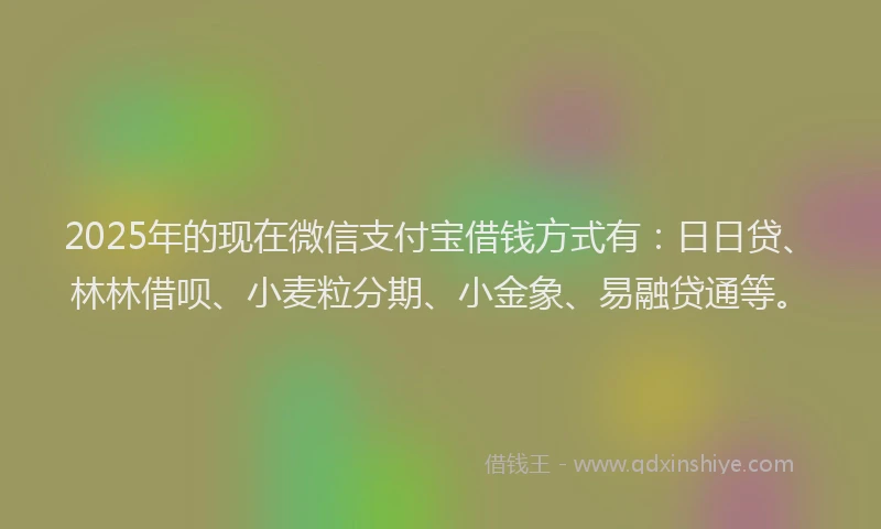 2025年的现在微信支付宝借钱方式有：日日贷、林林借呗、小麦粒分期、小金象、易融贷通等。