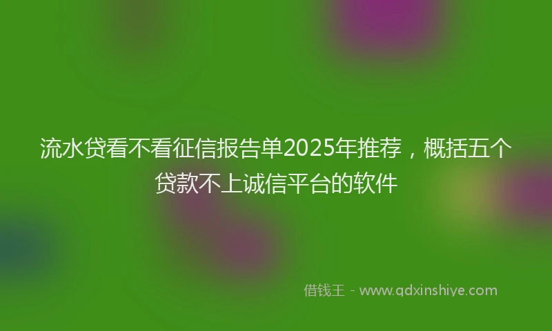 流水贷看不看征信报告单2025年推荐，概括五个贷款不上诚信平台的软件